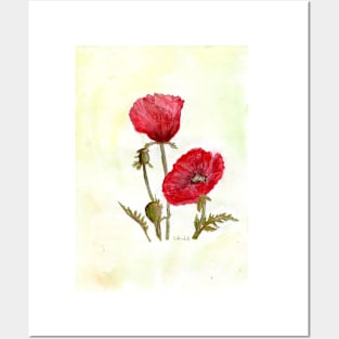 Poppy Posters and Art